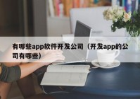 有哪些app软件开发公司（开发app的公司有哪些）