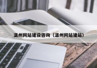 温州网站建设咨询（温州网站建站）