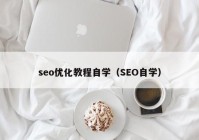 seo优化教程自学（SEO自学）