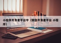 小程序开发者平台中（微信开发者平台 小程序）