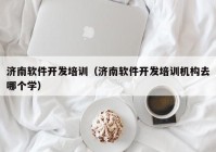 济南软件开发培训（济南软件开发培训机构去哪个学）