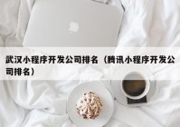 武汉小程序开发公司排名（腾讯小程序开发公司排名）