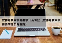 软件开发大学需要学什么专业（软件开发大学需要学什么专业好）