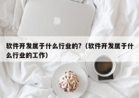 软件开发属于什么行业的?（软件开发属于什么行业的工作）