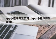 app小程序开发公司（app 小程序开发公司）